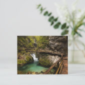 Wooden weg door Vintgar Gorge canyon Briefkaart (Staand voorkant)