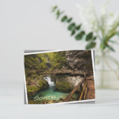 Wooden weg door Vintgar Gorge canyon Briefkaart (Staand voorkant)