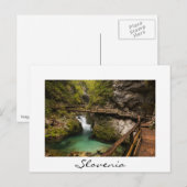 Wooden weg door Vintgar Gorge canyon Briefkaart (Voorkant / Achterkant)