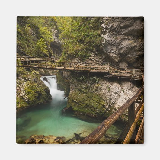 Wooden weg door Vintgar Gorge canyon Magneet (Voorkant)