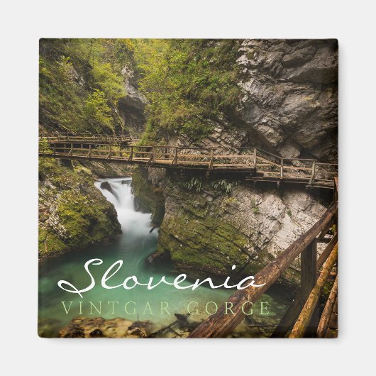 Wooden weg door Vintgar Gorge canyon Magneet (Voorkant)