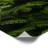 Woodenbrug in het Poster van de Japanse tuin (Hoek)