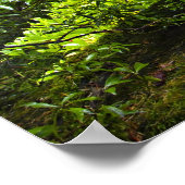 Woodenbrug in het Poster van de Japanse tuin (Hoek)