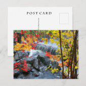 Woodford State Park Briefkaart (Voorkant / Achterkant)