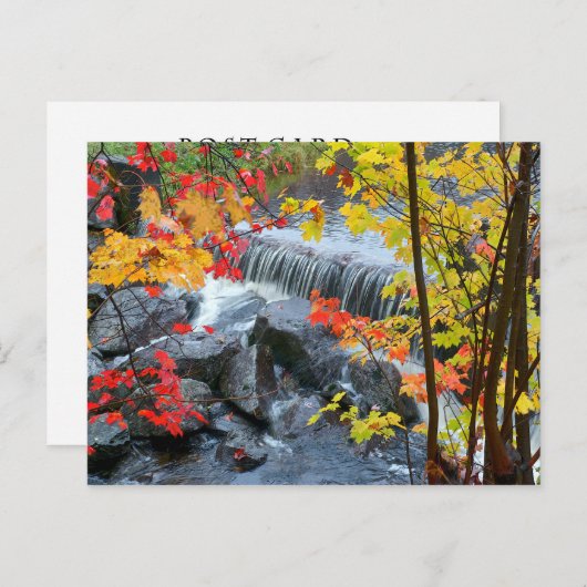 Woodford State Park Briefkaart (Voorkant / Achterkant)