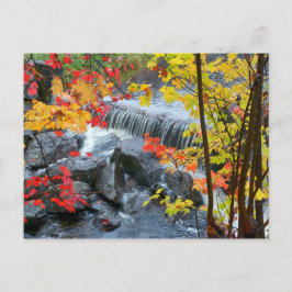 Woodford State Park Briefkaart