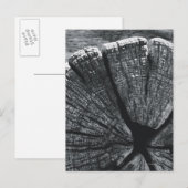 Woodgrain detail briefkaart (Voorkant / Achterkant)