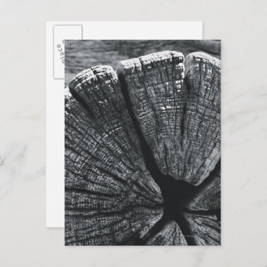 Woodgrain detail briefkaart (Voorkant / Achterkant)