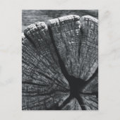 Woodgrain detail briefkaart (Voorkant)