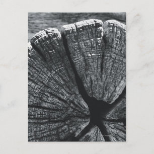 Woodgrain detail briefkaart