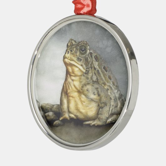 Woodhouse Toad ornament (Links)