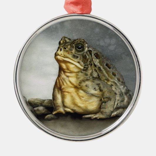 Woodhouse Toad ornament (Voorkant)