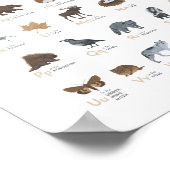 Woodland Alphabet Animal ABC Nursery Decor Poster (Hoek)