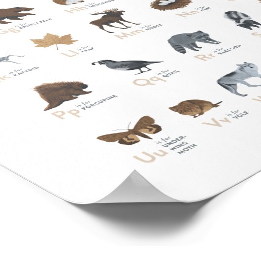 Woodland Alphabet Animal ABC Nursery Decor Poster (Hoek)