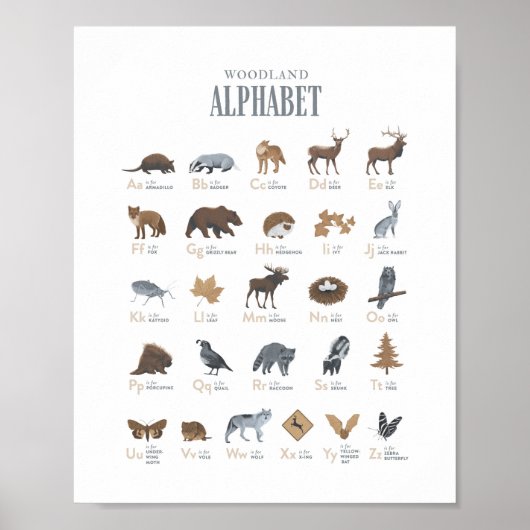Woodland Alphabet Animal ABC Nursery Decor Poster (Voorkant)