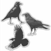 Woodland Animal 3 Black Raven Birds Flying Crows Sticker (Voorkant)