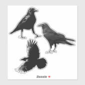 Woodland Animal 3 Black Raven Birds Flying Crows Sticker (Vel)