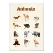 Woodland Animal Nursery Wall Art Foto Afdruk (Voorkant)