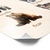 Woodland Animal Nursery Wall Art Foto Afdruk (Hoek)