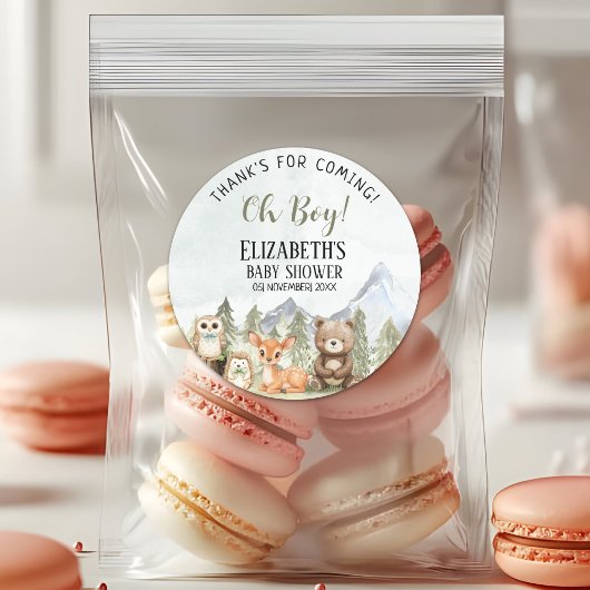 Woodland Animals Baby Shower Boy Party Ronde Sticker