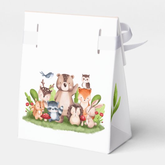 Woodland Animals Baby shower Favor Boxes Bedankdoosjes (Achterkant)