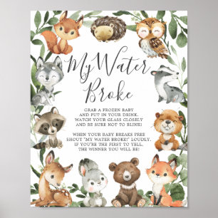 Woodland Animals Baby shower Mijn water brak Poster