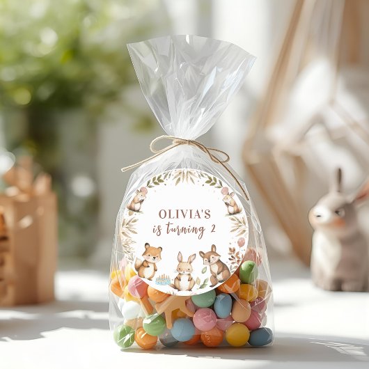 Woodland Animals Birthday Party Ronde Sticker