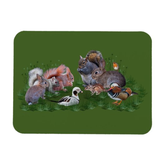 Woodland Animals Flexi Magnet Magneet (Horizontaal)
