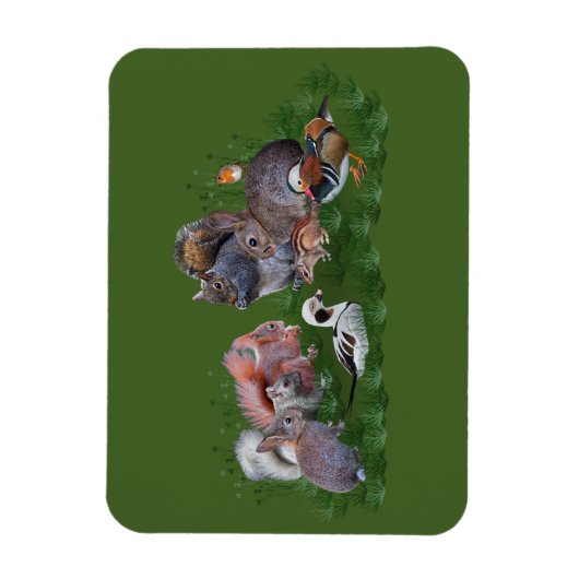 Woodland Animals Flexi Magnet Magneet (Verticaal)