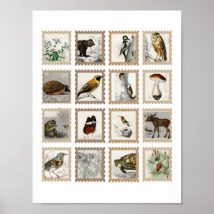Woodland Animals Moose Birds Junk Journal-accenten Poster