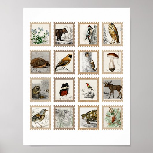 Woodland Animals Moose Birds Junk Journal-accenten Poster (Voorkant)