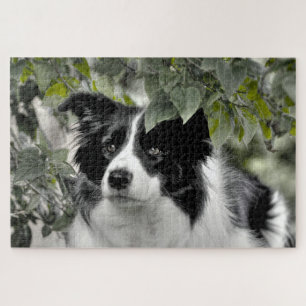 Woodland Border Collie 1014 Piece Legpuzzel