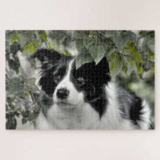 Woodland Border Collie 1014 Piece Legpuzzel (Horizontaal)