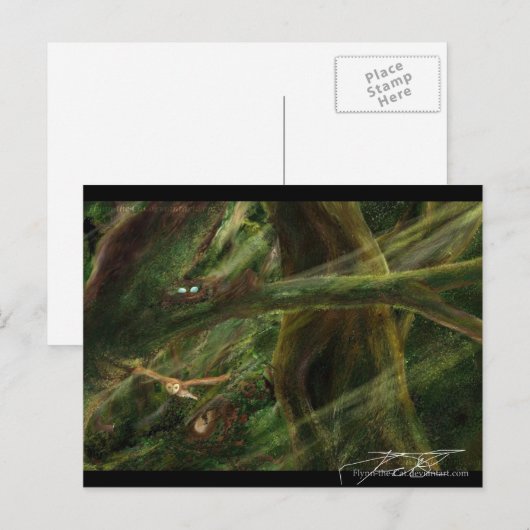 Woodland Briefkaart (Voorkant / Achterkant)