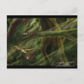 Woodland Briefkaart (Voorkant)