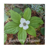 Woodland Bunchberry Dogwood Floral Tegeltje (Voorkant)