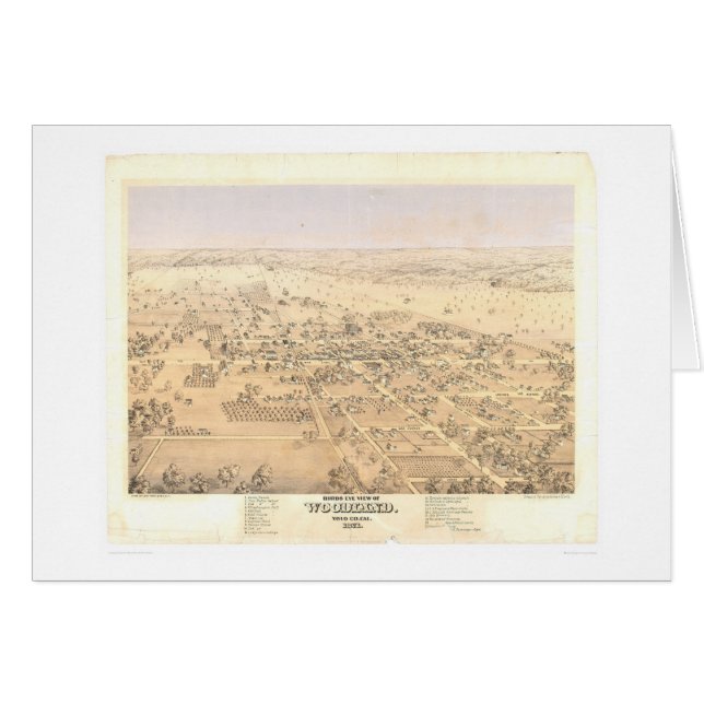 Woodland, CA. Panoramische kaart (1874A) (Voorkant Horizontaal)