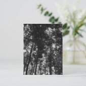 Woodland Canopy 01 BW Briefkaart (Staand voorkant)