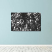 Woodland Canopy 01 BW Canvas Afdruk (Insitu (Houten vloer))