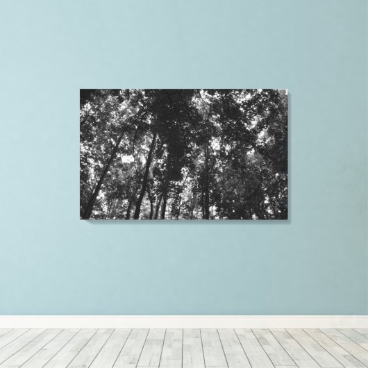 Woodland Canopy 01 BW Canvas Afdruk (Insitu (Houten vloer))