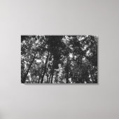 Woodland Canopy 01 BW Canvas Afdruk (Voorkant)