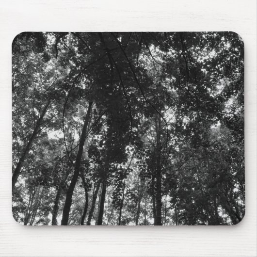 Woodland Canopy 01 BW Muismat (Voorkant)
