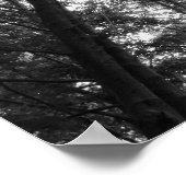Woodland Canopy 01 BW Poster (Hoek)