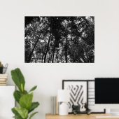 Woodland Canopy 01 BW Poster (Thuiskantoor)