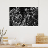 Woodland Canopy 01 BW Poster (Keuken)
