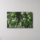 Woodland Canopy 01 Canvas Afdruk (Voorkant)