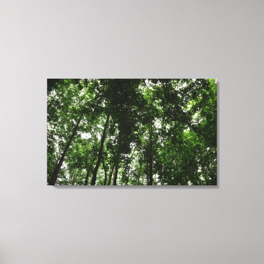 Woodland Canopy 01 Canvas Afdruk (Voorkant)