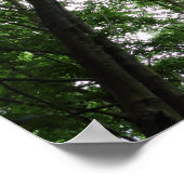 Woodland Canopy 01 Poster (Hoek)
