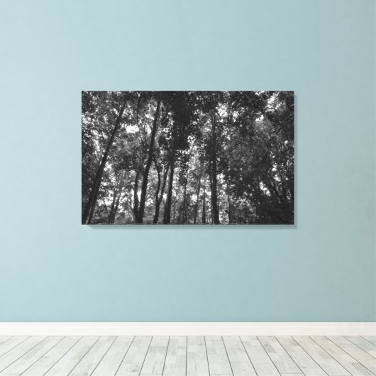 Woodland Canopy 02 BW Canvas Afdruk (Insitu (Houten vloer))