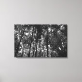 Woodland Canopy 02 BW Canvas Afdruk (Voorkant)